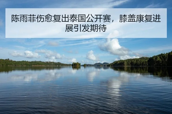 陈雨菲伤愈复出泰国公开赛，膝盖康复进展引发期待