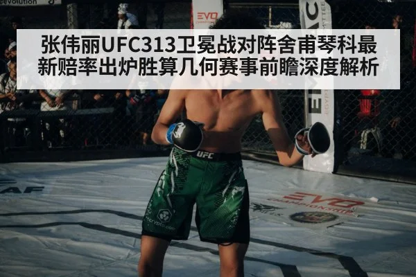 张伟丽UFC313卫冕战对阵舍甫琴科最新赔率出炉胜算几何赛事前瞻深度解析